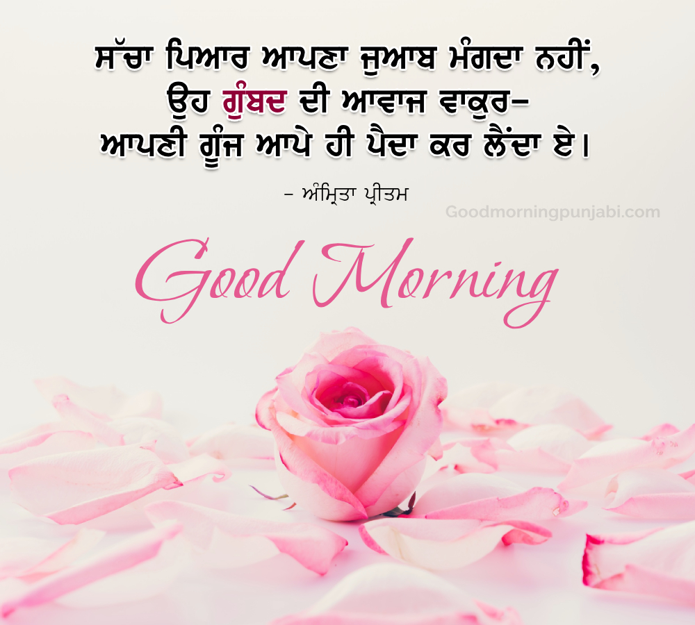 10+ Good Morning Shayari in Punjabi Images - Good Morning Wishes in Punjabi